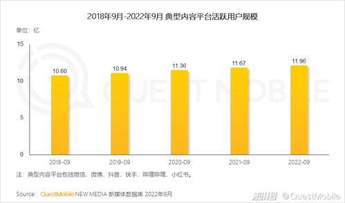 2022中国移动互联网发展年鉴 移动互联网研发与维护的变革与演进