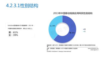 2013年中国移动互联网发展报告 研发与维护的双轮驱动